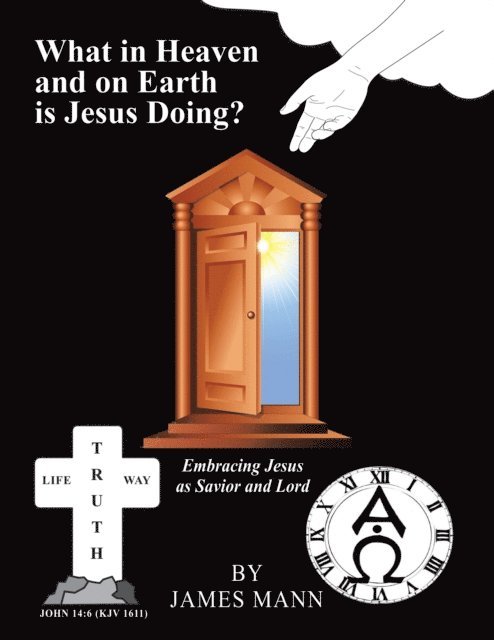 James Mann - What in Heaven and on Earth Is Jesus Doing?, E-bok