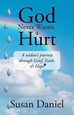 Susan Daniel - God Never Wastes a Hurt, Häftad