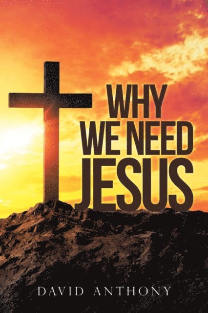 David Anthony - Why We Need Jesus, E-bok