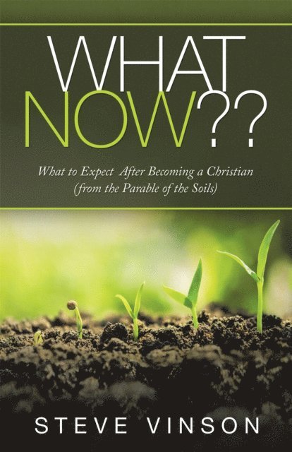 Steve Vinson - What Now??, E-bok