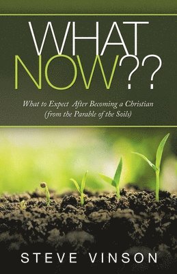 Steve Vinson - What Now, Häftad