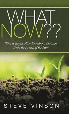 Steve Vinson - What Now, Inbunden