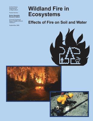 Forest Service, U. S. Department of Agriculture - Wildland Fire in Ecosystems: Effects of Fire on Soil and Water, Häftad. Tillgänglighet: Lägg i varukorg