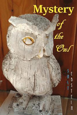 Salt Ebstein, J. Montgomery - Mystery of the Owl, Häftad. Tillgänglighet: Lägg i varukorg