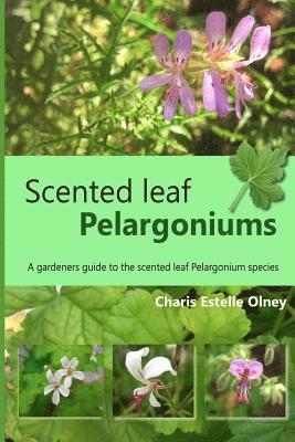 Charis Estelle Olney - Scented leaf pelargoniums: A gardeners guide to the scented leaf pelargonium species, Häftad