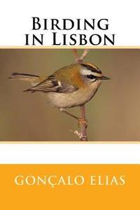 Birding in Lisbon