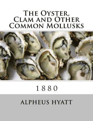 Alpheus Hyatt - The Oyster, Clam and Other Common Mollusks, Häftad. Tillgänglighet: Lägg i varukorg