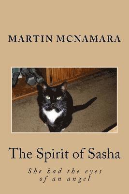 Martin McNamara - The Spirit of Sasha, Häftad. Tillgänglighet: Lägg i varukorg