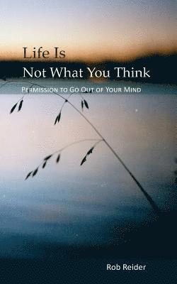 Rob Reider - Life Is NOT What You Think: Permission To Go Out Of Your Mind, Häftad. Tillgänglighet: Lägg i varukorg