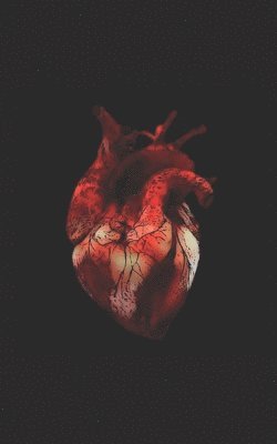 J Harvey - My Heart's Story, Häftad. Tillgänglighet: Lägg i varukorg