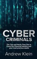 Cyber Criminals: The Tips and Hacks They Use to Crack the Financial Industry and your most precious assets