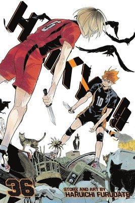 Haruichi Furudate - Haikyu!!, Vol. 36, Häftad