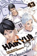 Haikyu!!, Vol. 43: Volume 43