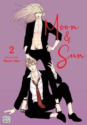Akane Abe - Moon & Sun, Vol. 2, Häftad