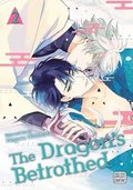 Dragon's Betrothed, Vol. 2