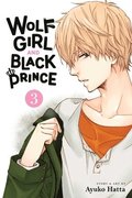 Wolf Girl and Black Prince, Vol. 3: Volume 3
