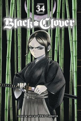Yuki Tabata - Black Clover, Vol. 34, Häftad