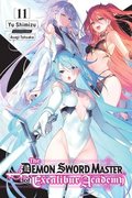 Demon Sword Master of Excalibur Academy, Vol. 11 (light novel)