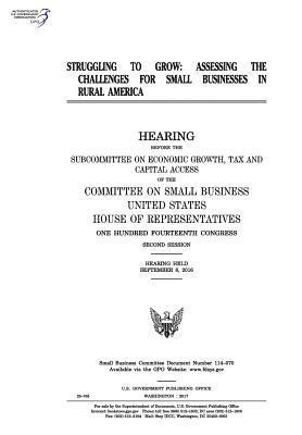 United States House of Representatives, Committee on Small Business - Struggling to grow: assessing the challenges for small businesses in rural America, Häftad. Tillgänglighet: Lägg i varukorg
