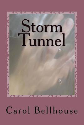 Carol Bellhouse - Storm Tunnel, Häftad. Tillgänglighet: Lägg i varukorg