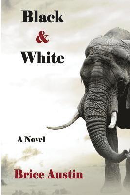 Brice Austin - Black & White, Häftad. Tillgänglighet: Lägg i varukorg