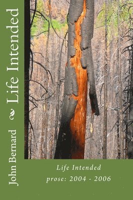 John Bernard - Life Intended: prose: 2004-2006, Häftad. Tillgänglighet: Lägg i varukorg