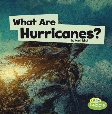 Mari Schuh - What Are Hurricanes?, Häftad