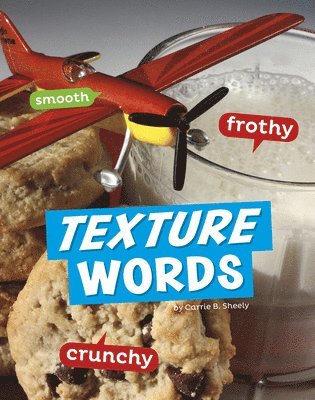 Carrie B. Sheely - Texture Words, Inbunden