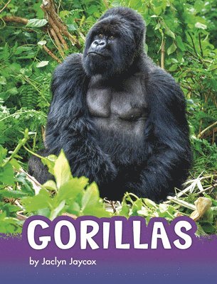 Jaclyn Jaycox - Gorillas, Inbunden