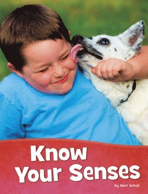 Mari Schuh - Know Your Senses, Inbunden