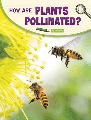 Emily Raij - How Are Plants Pollinated?, Häftad. Tillgänglighet: Lägg i varukorg