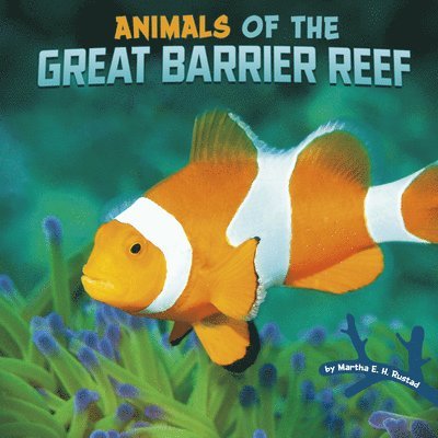 Martha E. H. Rustad - Animals of the Great Barrier Reef, Häftad