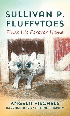 Angela Fischels - Sullivan P. Fluffytoes Finds His Forever Home, Inbunden. Tillgänglighet: Lägg i varukorg