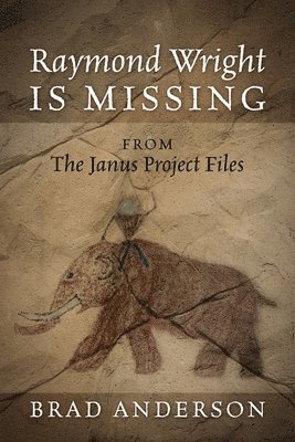 Brad Anderson - Raymond Wright Is Missing, Häftad