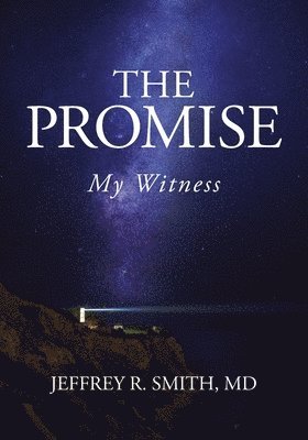Jeffrey R Smith - Promise, Häftad. Tillgänglighet: Lägg i varukorg