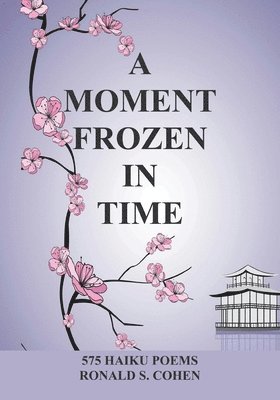 Ronald S Cohen - Moment Frozen in Time, Häftad