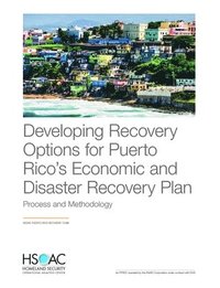 Developing Recovery Options for Puerto Rico's Economic and Disaster Recovery Plan