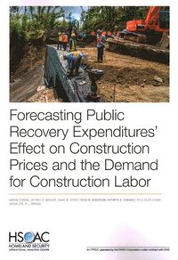 Forecasting Public Recovery Expenditures' Effect on Construction Prices and the Demand for Construction Labor
