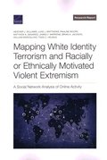 Mapping White Identity Terrorism and Racially or Ethnically Motivated Violent Extremism