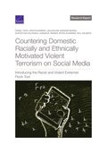 Countering Domestic Racially and Ethnically Motivated Violent Terrorism on Social Media