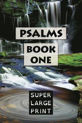 King James Bible, Super Large Print - Psalms: Book One, Häftad