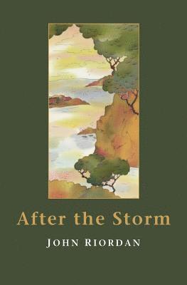 John Riordan - After the Storm, Häftad. Tillgänglighet: Lägg i varukorg