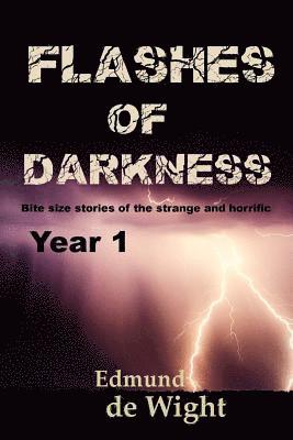 Edmund de Wight - Flashes of Darknes - Year 1: Bite size stories of the strange and horrific, Häftad. Tillgänglighet: Lägg i varukorg