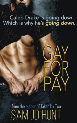 Missy Borucki, Kelly Mallett - Gay for Pay, Häftad. Tillgänglighet: Lägg i varukorg