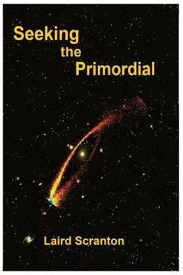 Laird Scranton - Seeking the Primordial: Exploring Root Concepts of Cosmological Creation, Häftad