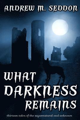 Andrew M. Seddon - What Darkness Remains: Thirteen Tales of the Supernatural and Unknown, Häftad. Tillgänglighet: Lägg i varukorg