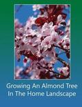 Growing An Almond Tree In The Home Landscape