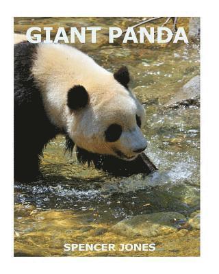 Spencer Jones - Giant Panda, Häftad