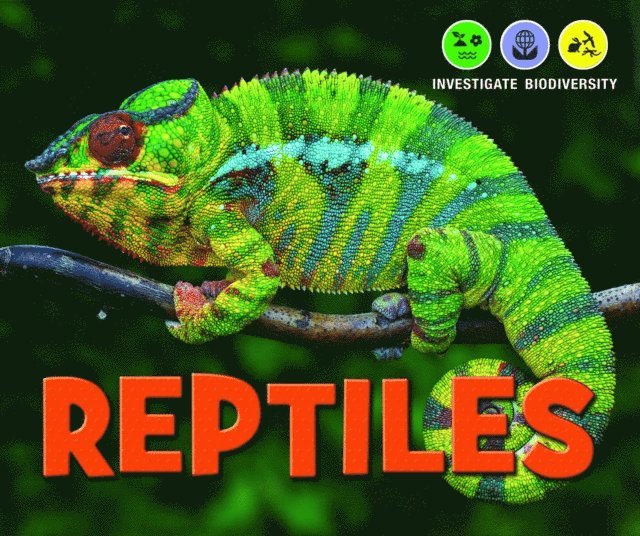 Rebecca Kraft Rector - Reptiles, E-bok