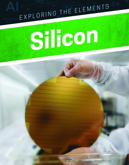 Clara MacCarald - Silicon, E-bok